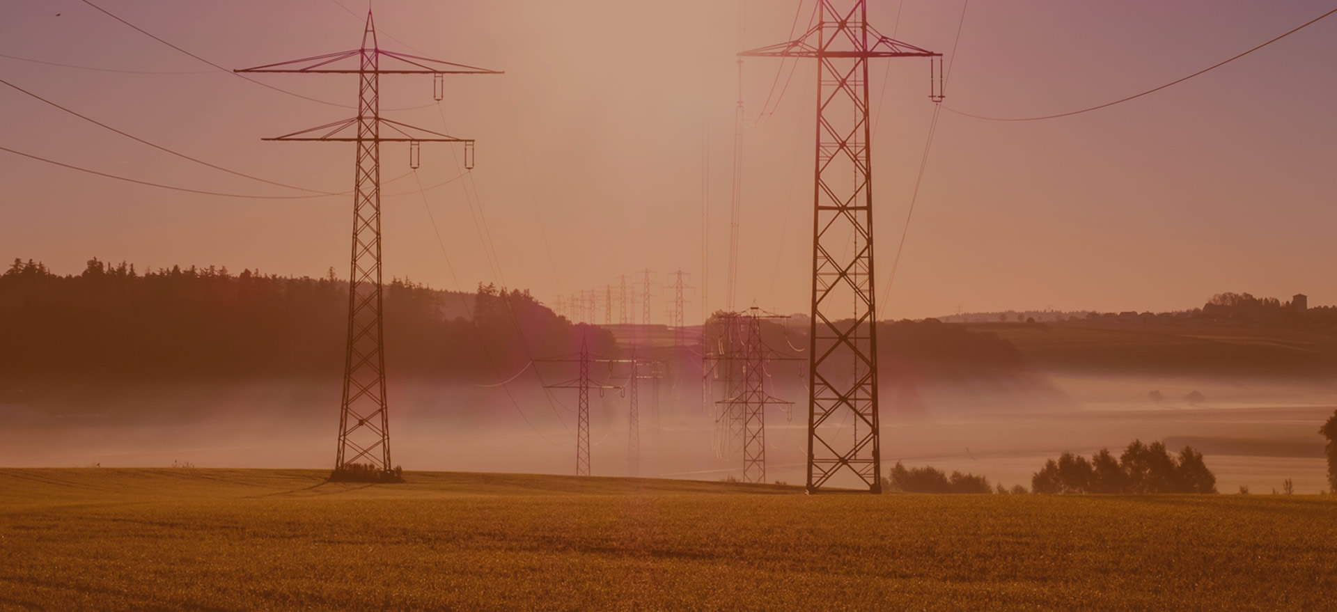 Local Power Company